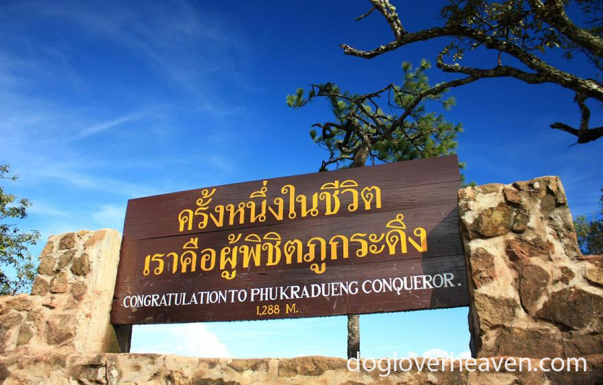 Phu Kradueng National Park อุทยานแห่งชาติภูกระดึง สามารถเข้าถึงได้โดยการเดินป่าระยะไกลที่ท้าทาย อุทยานแห่งชาติภูกระดึงเป็นหนึ่งในอุทยาน