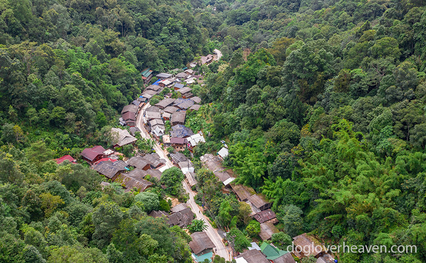 หมู่บ้าน แม่กำปอง ห่างจากตัวเมืองเชียงใหม่ไปทางตะวันออกเฉียงใต้ประมาณ 1 ชั่วโมง หมู่บ้านบนภูเขาที่สวยงามของแม่กำปองเป็นที่ตั้งของชุมชน