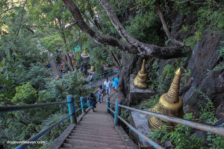 Wat Tham Sua  วัดถ้ำเสือเป็นสถานที่ท่องเที่ยวที่ท้าทายที่สุดแห่งหนึ่งในภูมิภาคนี้อย่างแน่นอน โดยเฉพาะอย่างยิ่ง สถานที่ศักดิ์สิทธิ์แห่งนี้