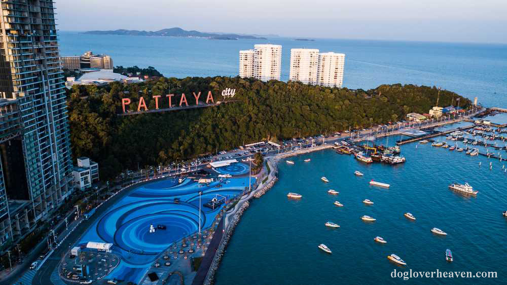Pattaya Beach หาดพัทยา เป็นสถานที่ท่องเที่ยวที่มีชื่อเสียงที่สุดแห่งหนึ่งของประเทศไทยในหมู่นักท่องเที่ยวทั้งในประเทศและต่างประเทศ