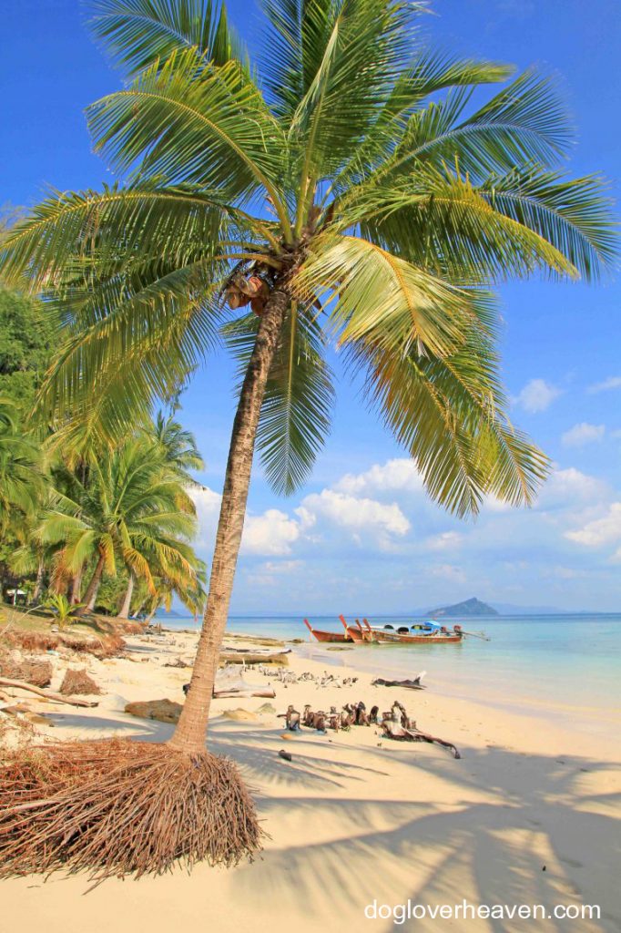 Koh Bulon Lae เกาะบุโหลนเกาะเล็กๆ ที่ตั้งอยู่ในจังหวัดสตูลในทะเลอันดามัน และได้รับการจัดอันดับให้เป็นหนึ่งในเกาะที่น่าตื่นตาตื่นใจที่สุดใน