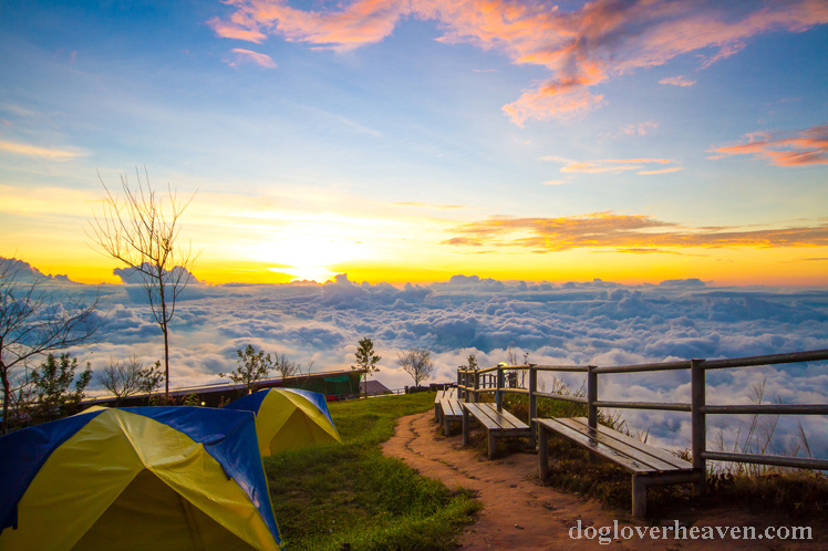 Phu Thap Buek Mountain ภูทับเบิก แหล่งท่องเที่ยวทางธรรมชาติที่ได้รับการยอมรับว่าเป็นหนึ่งในดินแดนที่มีภูมิอากาศดีที่สุด 