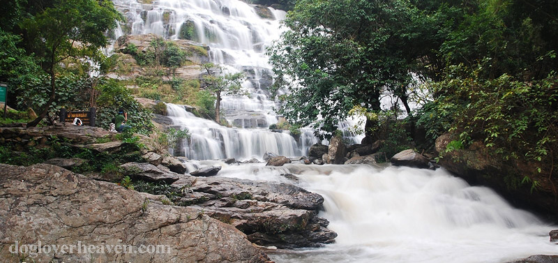 Maeya Waterfall น้ำตกแม่ยะ ใครที่ชอบเที่ยวที่ไหนสักแห่งที่มีธรรมชาติบริสุทธิ์และบรรยากาศที่มีเสน่ห์ เชียงใหม่หนึ่งในจุดหมายปลายทางยอดนิยม