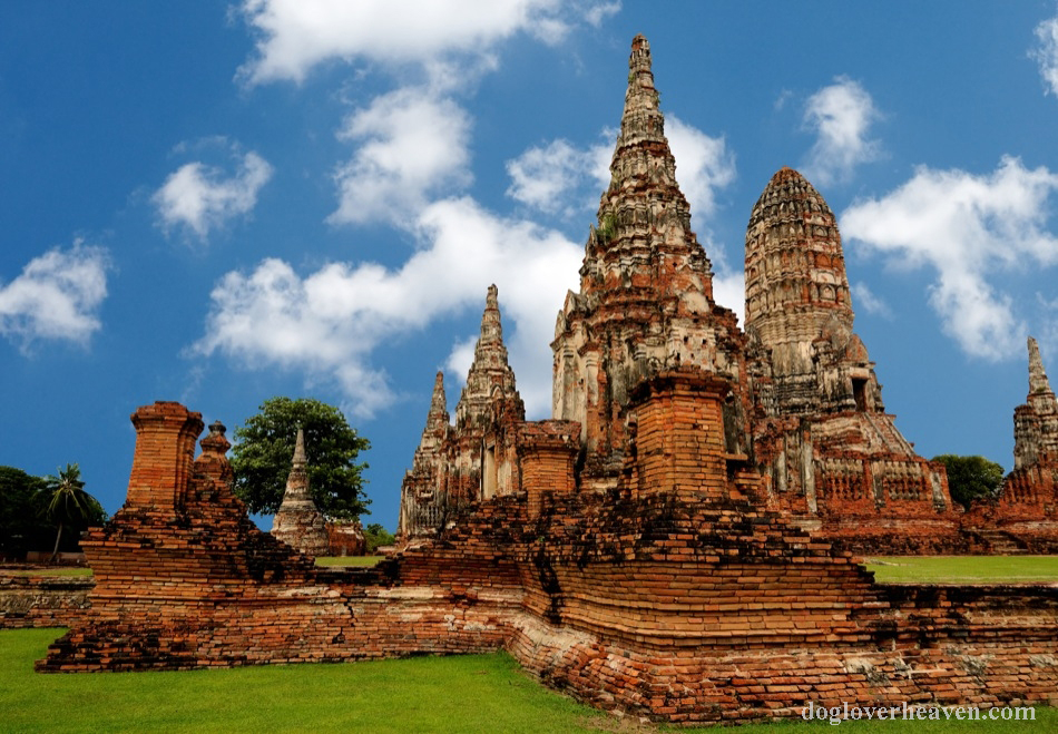 Ayutthaya Historical Park อุทยานประวัติศาสตร์พระนครศรีอยุธยา อันเป็นร่องรอยของอดีตที่สามารถฉายรัศมีความรุ่งเรืองของอาณาจักรอยุธยา