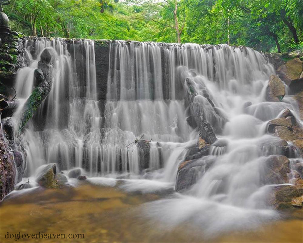 Huai Yang Waterfall National Park อุทยานแห่งชาติน้ำตกห้วยยาง เป็นพื้นที่คุ้มครองขนาดเล็กที่ตั้งอยู่บนเทือกเขาตะนาวศรีที่ชายแดนพม่า ก่อตั้ง