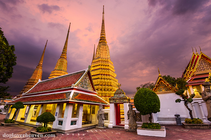 Wat Pho (Temple of the Reclining Buddha) วัดโพธิ์ หนึ่งในวัดที่มีชื่อเสียงในกรุงเทพฯ ที่ขยายชื่อเสียงไปทั่วโลกคือ “ วัดพระเชตุพนวิมล