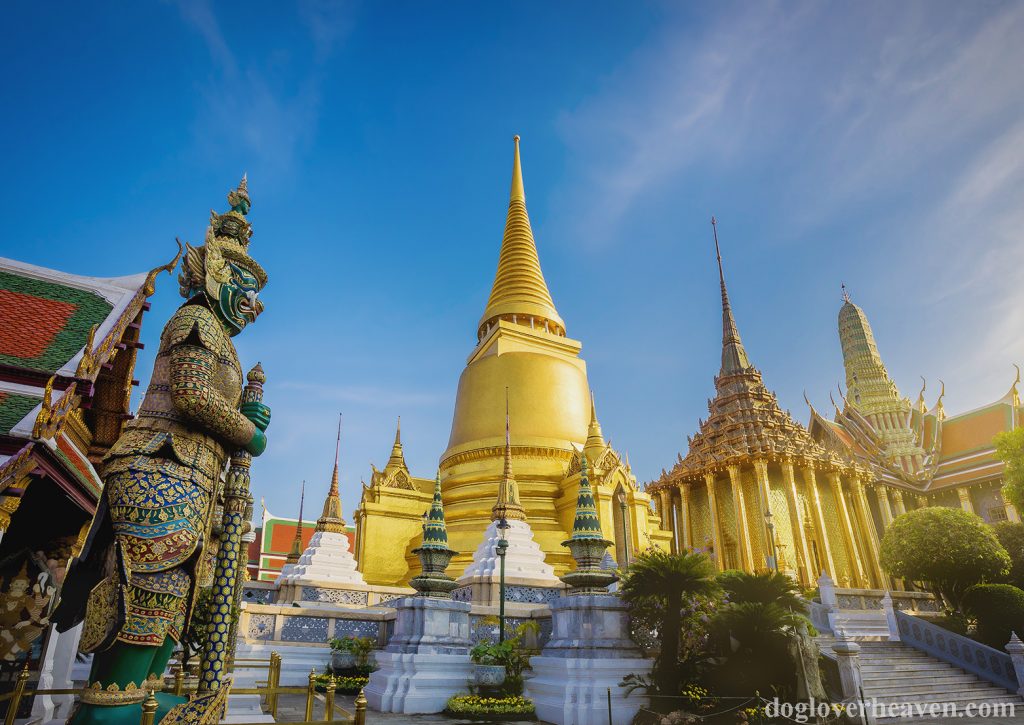 Wat Phra Kaew วัดพระแก้ว หรือที่ชาวต่างชาติรู้จักในชื่อ ' วัดพระศรีรัตนศาสดาราม ' หรือชื่อทางการว่า วัดพระศรีรัตนศาสดาราม ถือเป็นวัดที่
