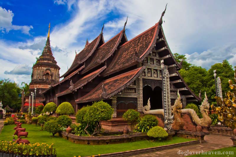 Wat Chiang Man ทางตอนเหนือของเมืองโบราณเชียงใหม่เป็นที่ตั้งของพระอารามหลวงแห่งแรกของเมืองนี้ สถานที่ศักดิ์สิทธิ์นี้สร้างโดยพระยา