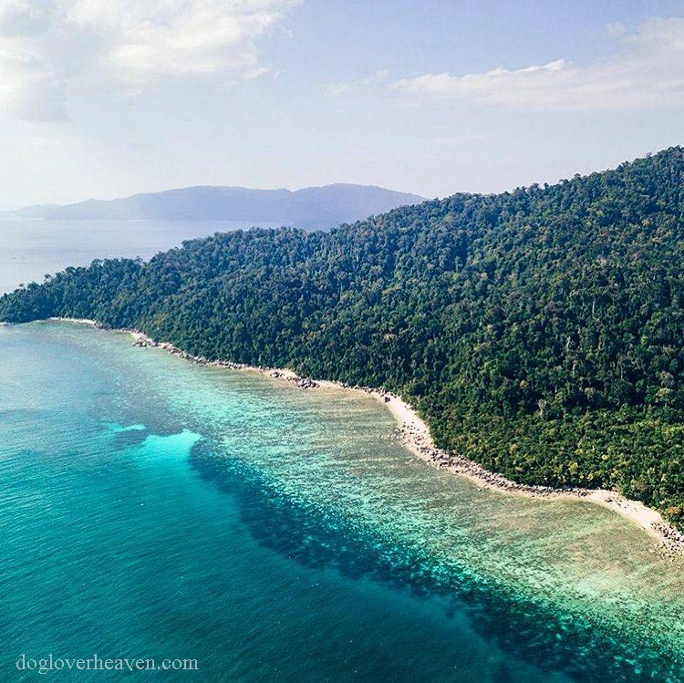 Koh Adang  เกาะอาดัง ภูเขาอันน่าทึ่งของเกาะอาดังทอดยาวเหนือเกาะหลีเป๊ะราวกับอารักขาที่หยั่งรากลึกอยู่ในป่า เกาะสองเกาะนี้อยู่ใกล้กันมากจน