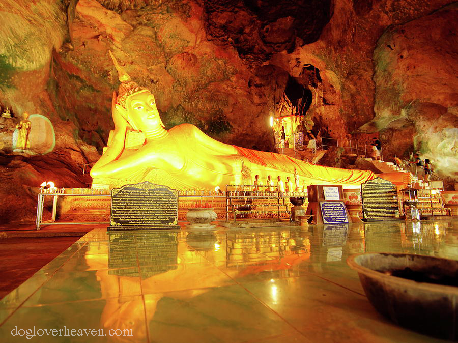 Wat Suwan Kuha วัดสุวรรณคูหา หรือที่ชาวบ้านรู้จักในชื่อวัดถ้ำ ("ถ้ำวัด") ตั้งอยู่ในถ้ำที่ซับซ้อนใกล้กับเมืองพังงา เมืองหลวงของจังหวัดพังงา
