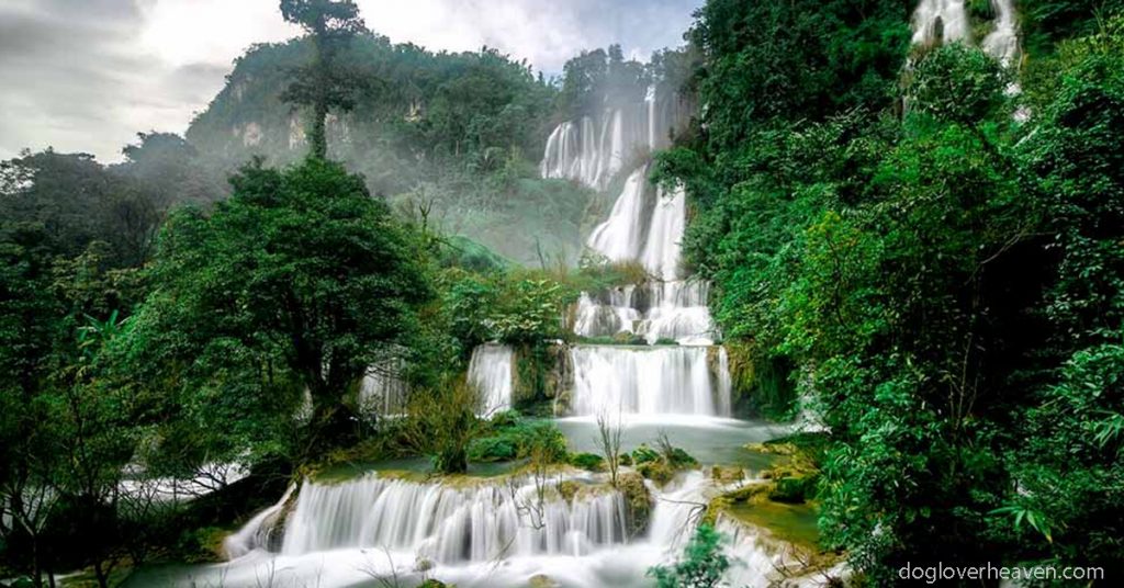 Thi Lo Su Waterfall น้ำตกทีลอซูมีความสูงถึง 300 เมตร เรียกได้ว่าเป็นน้ำตกที่ใหญ่สุดประเทศไทย ชื่อเสียงด้านภูมิทัศน์ที่สวยตระการตา