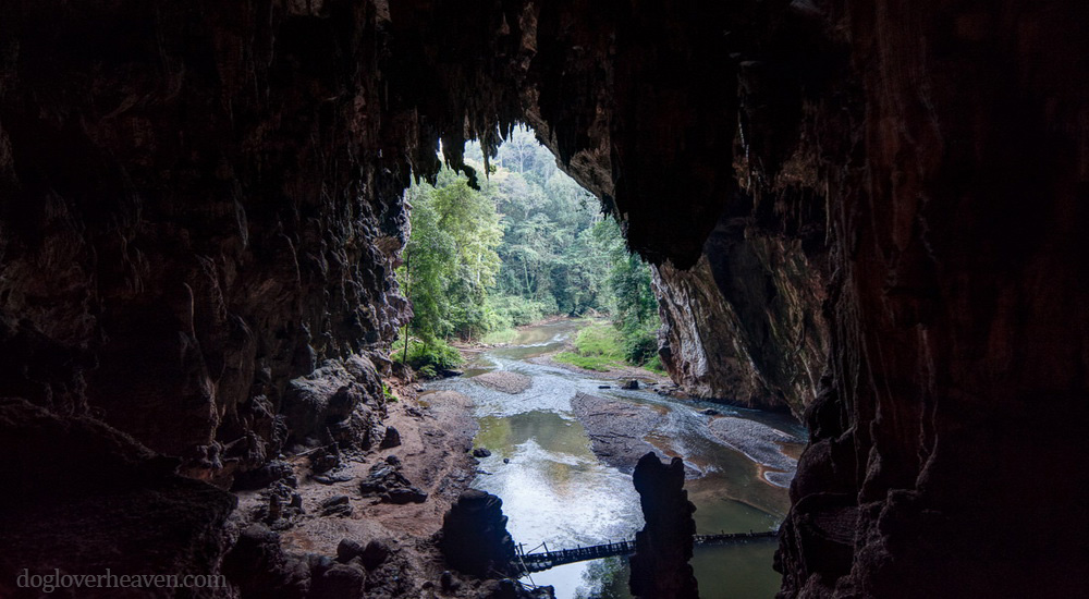 Tham Lod Cave ถ้ำลอด แม่ฮ่องสอนภาคเหนือของประเทศไทย  เป็นระบบถ้ำที่มีความยาว 1.666 เมตร การก่อตัวทางธรณีวิทยาที่แตกหน่อจาก