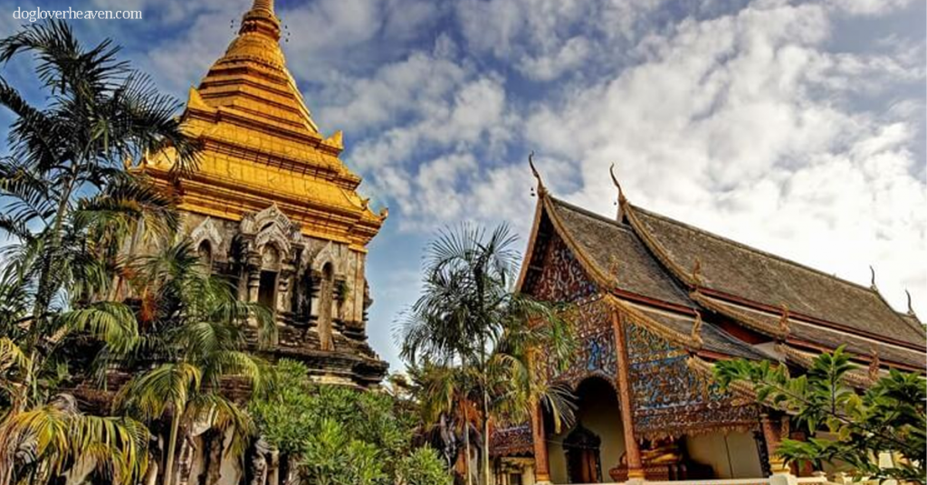 Wat Chiang Man พญามังรายผู้ก่อตั้งเชียงใหม่ ก่อตั้งในปี พ.ศ. 1296 โดยมีพญารามคำแหงแห่งสุโขทัยและพญางามเมืองพะเยา พระเจ้ามัง