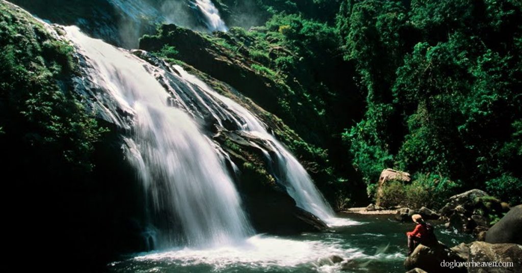 Phlio Waterfall จันทบุรีเป็นจุดหมายปลายทางที่ผสมผสานกับธรรมชาติที่งดงามมากมายนอกเหนือจากธรรมชาติที่งดงาม ยังมีเนินเขา อุทยานแห่งชาติ
