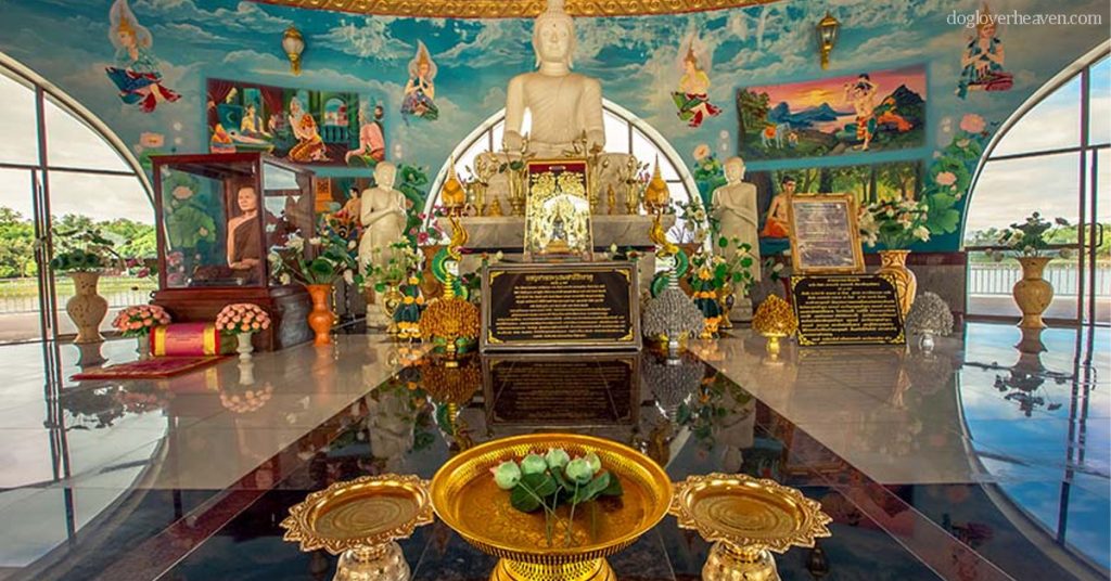 Wat Pa Dong Rai วัดดอกบัวหรือวัดป่าดงราย ความสวยงามของการเดินทางคือ ไม่ว่าคุณจะเคยไปที่จุดหมายปลายทางมากี่ครั้งแล้ว ก็ยังมีประสบการณ์ใหม่ๆ