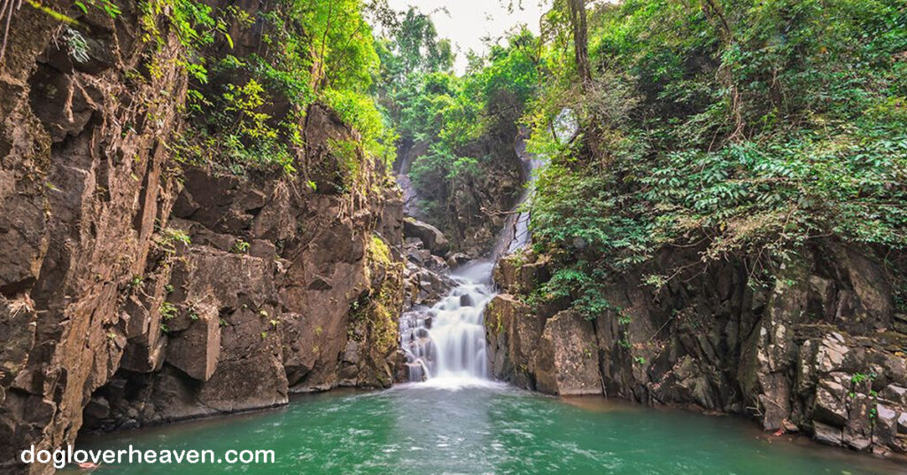 Phlio Waterfall น้ำตกพลิ้ว เป็นสถานที่ท่องเที่ยวที่น่าสนใจในประเทศไทย นอกจากความงดงามของน้ำตกแล้วยังมีความสวยงามของธรรมชาติ