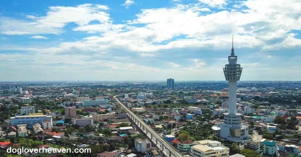 Samut Prakan City Observatory หอชมวิวเมืองสมุทรปราการหรือ สถานที่ชมวิวเมืองสมุทรปราการ น่าจะหมายถึง สะพานพระราม 9 