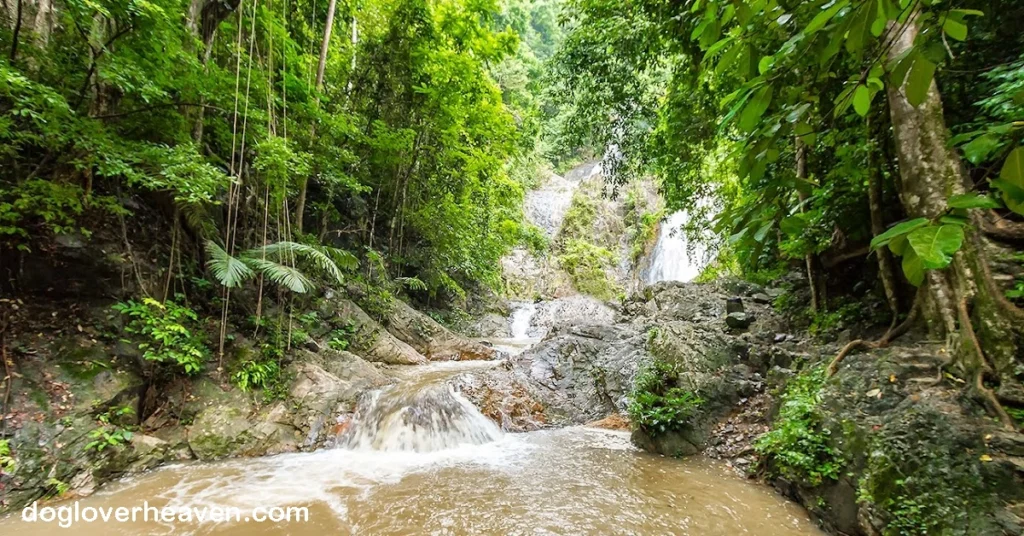 Huai To Waterfall น้ำตกห้วยโต้ เป็นหนึ่งในสถานที่ท่องเที่ยวที่น่าสนใจในจังหวัดกระบี่ ประเทศไทย ตั้งอยู่ในเขตอุทยานแห่งชาติหาด
