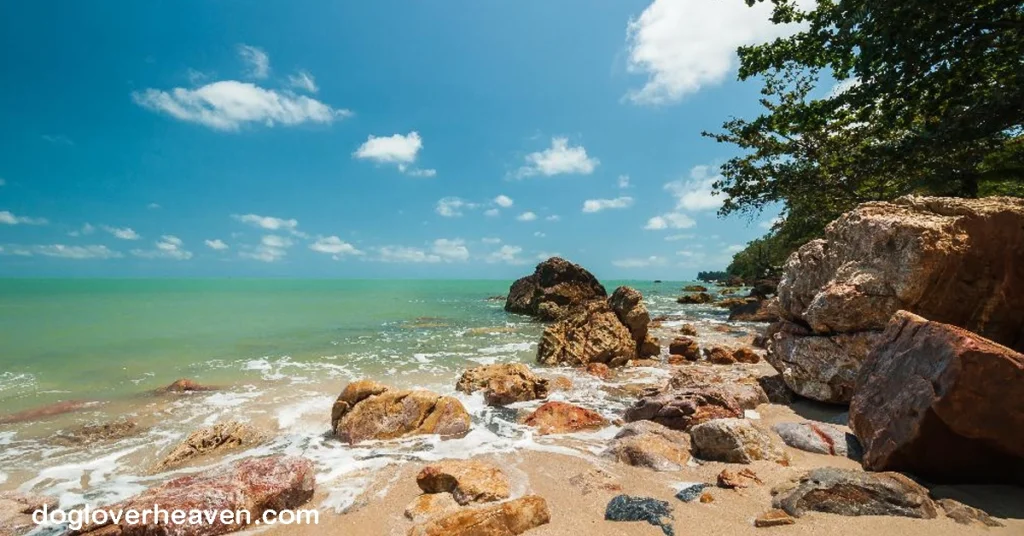 Hin Ngam Beach หาดหินงาม จังหวัดนครศรีธรรมราช นครศรีธรรมราชเป็นจังหวัดที่มีหลายที่น่าสนใจทางท่องเที่ยว แต่หาดที่มีหินงาม