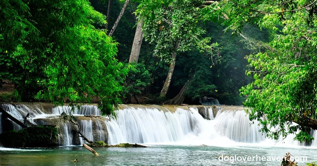 Chet Kot Waterfall น้ำตกเจ็ดคต เป็นน้ำตกที่ตั้งอยู่ในอำเภอเมืองสระบุรี จังหวัดสระบุรี ประเทศไทย น้ำตกนี้เป็นสถานที่ท่องเที่ยวที่น่าสนใจ