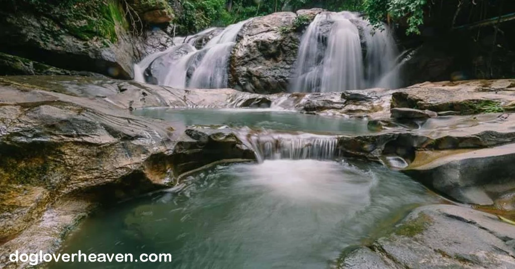 Mae Sa Waterfall น้ำตกแม่สา มีน้ำตกอยู่มากมายในภาคเหนือของประเทศไทย แม้ว่าแม่สาจะไม่ใช่น้ำตกที่ใหญ่ที่สุดหรือสวยงามที่สุด แต่ก็สามารถ