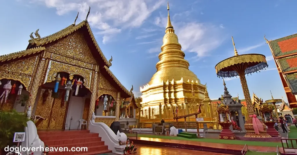 Wat Phra That Hariphunchai วัดพระธาตุหริภุญชัย สถานที่ท่องเที่ยวชั้นนำที่รอคอยผู้มาเยือนใจกลางเมืองลำพูน ที่นี่พระบรมสารีริกธาตุประดิษ