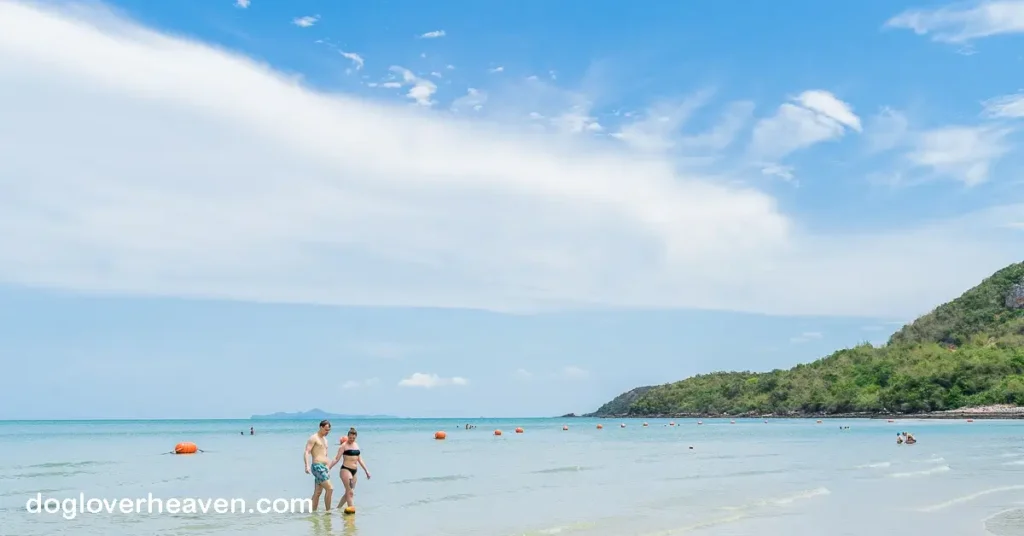 Sai Kaew Beach หาดทรายแก้ว หรือที่รู้จักกันในชื่อหาดทรายแก้วเป็นจุดหมายปลายทางที่นำเสนอประสบการณ์อันหลากหลายสำหรับนักเดินทาง
