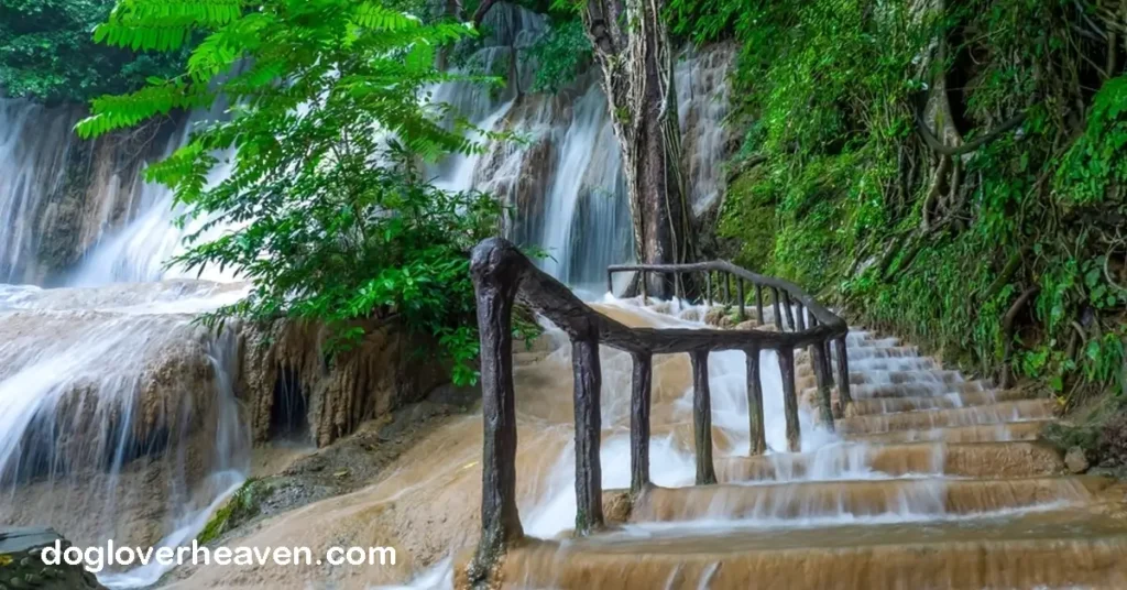 Sai Yok Yai Waterfall น้ำตกไทรโยคใหญ่ น้ำตกไทรโยค อ.ไทรโยค จ.กาญจนบุรี ประเทศไทย ถือเป็นสถานที่ท่องเที่ยวที่ได้รับเสียง