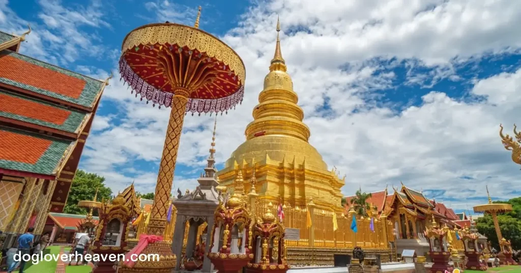 Phrathat Hariphunchai Temple วัดพระธาตุหริภุญไชย จุดเด่นของลำพูนคือวัดพระธาตุหริภุญไชย หนึ่งในวัดที่โดดเด่นที่สุดในประเทศไทย 