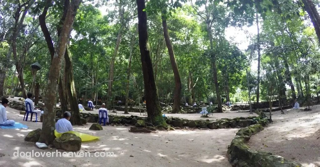 Suan Mokkhaplaram Temple วัดสวนโมกขพลาราม สถานที่พักผ่อนแห่งนี้ตั้งอยู่ท่ามกลางธรรมชาติที่สวยงาม พร้อมด้วยน้ำพุร้อนที่ให้ประสบการณ์