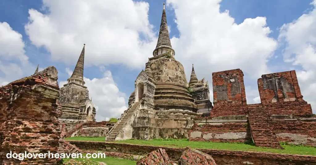 Wat Phra Si Sanphet วัดพระศรีสรรเพชญ์ ซึ่งเป็นวัดที่พังทลายในพระนครศรีอยุธยาเป็นสิ่งที่น่าชม สร้างขึ้นเมื่อ พ.ศ. 1448 ในรัชสมัยของพระเจ้า