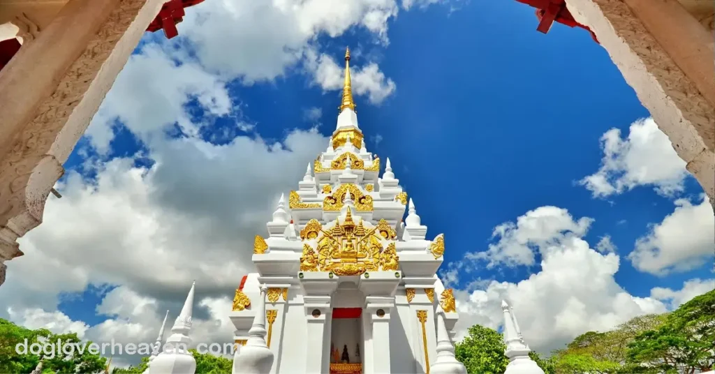 Wat Phra Borommathat Chaiya วัดพระบรมธาตุไชยา เป็นวัดอันเป็นที่เคารพนับถือในจังหวัดสุราษฎร์ธานีซึ่งเป็นจังหวัดทางภาคใต้ของประเทศไทย