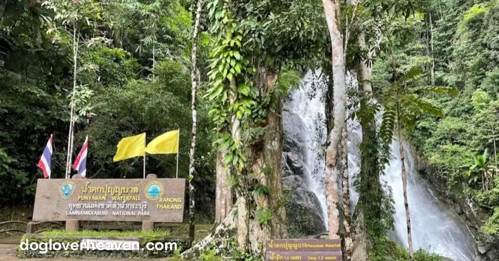 Punyaban Waterfall น้ำตกปุญญบาล น้ำตกปุญญบาลในประเทศไทยเป็นจุดหมายปลายทางที่ทำให้เกิดความรู้สึกผสมปนเปในหมู่นักท่องเที่ยว