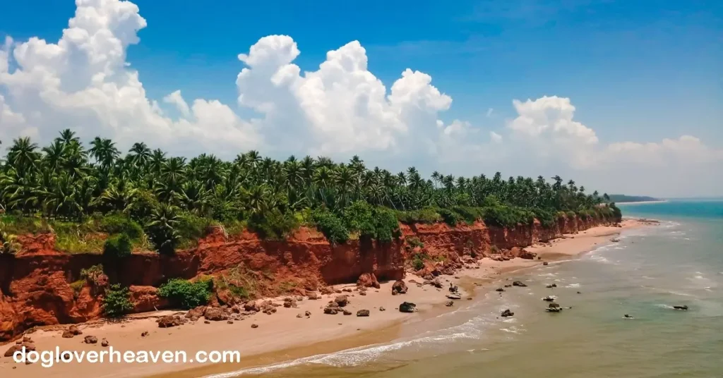 Pha Daeng Beach หาดผาแดง ตั้งอยู่ในจังหวัดชุมพร เป็นหนึ่งในสถานที่ท่องเที่ยวที่น่าสนใจและมีความสวยงาม โดยเฉพาะสำหรับผู้ที่รักทะเล