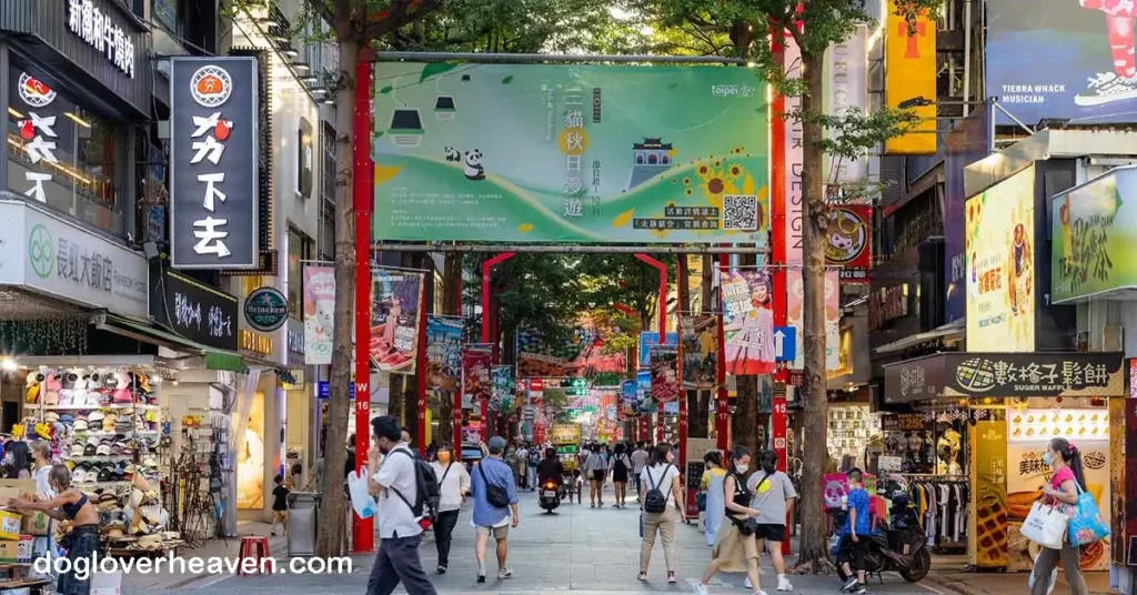 Ximending ย่านซีเหมินติง หรือที่หลายคนเรียกกันว่า “ย่านฮาราจูกุแห่งไต้หวัน” ถือเป็นหนึ่งในย่านที่มีชีวิตชีวาและเต็มไปด้วยสีสันมาก