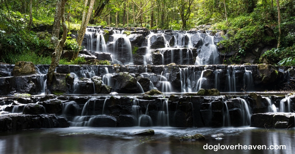 Sam Waterfall Sam Lan Waterfall - dogloverheaven.com