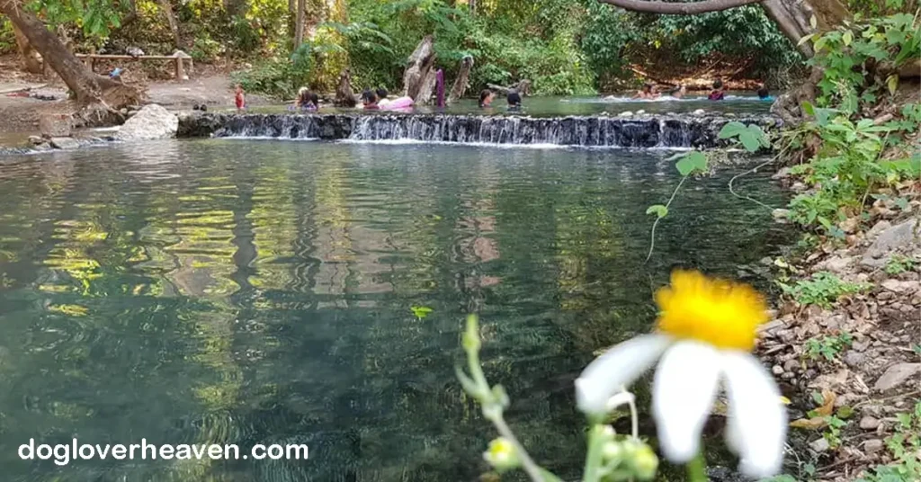Sai Ngam Hot Spring น้ำพุร้อนไทรงาม ตั้งอยู่ในอำเภอปาย จังหวัดแม่ฮ่องสอน เป็นสถานที่ท่องเที่ยวเชิงธรรมชาติที่เงียบสงบและเหมาะ