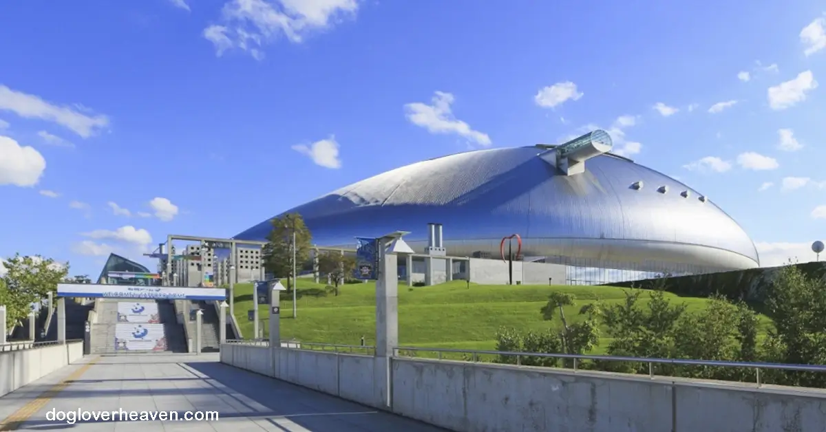 Sapporo Dome
