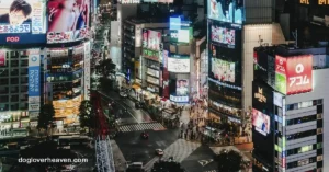 Shibuya