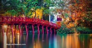 Den Ngoc Son