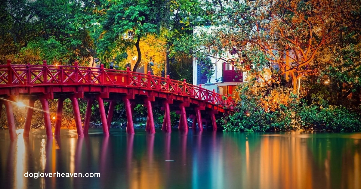 Den Ngoc Son