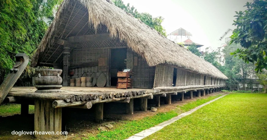 Vietnam Museum of Ethnology